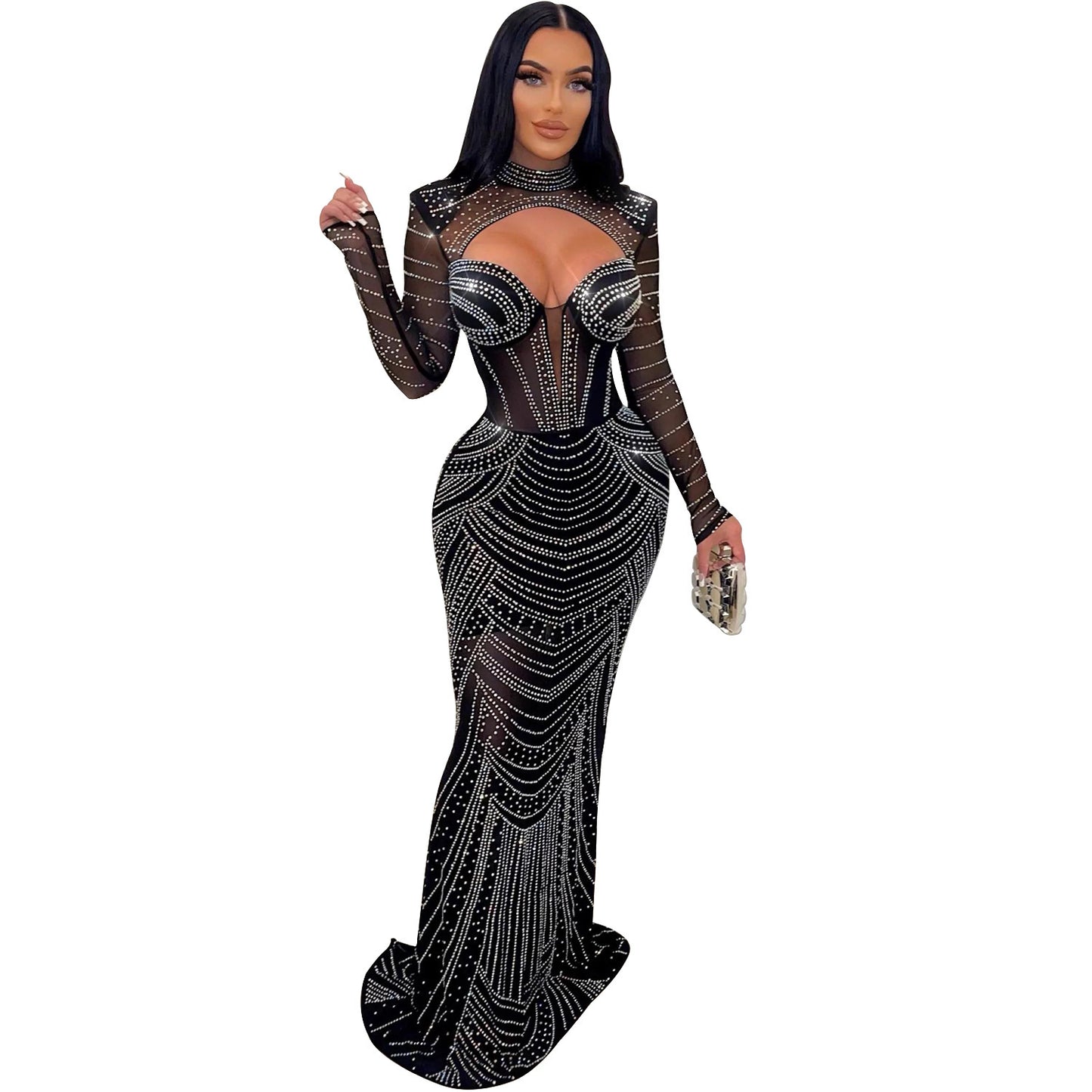 Mesh Long Sleeve Ladies' Dress
