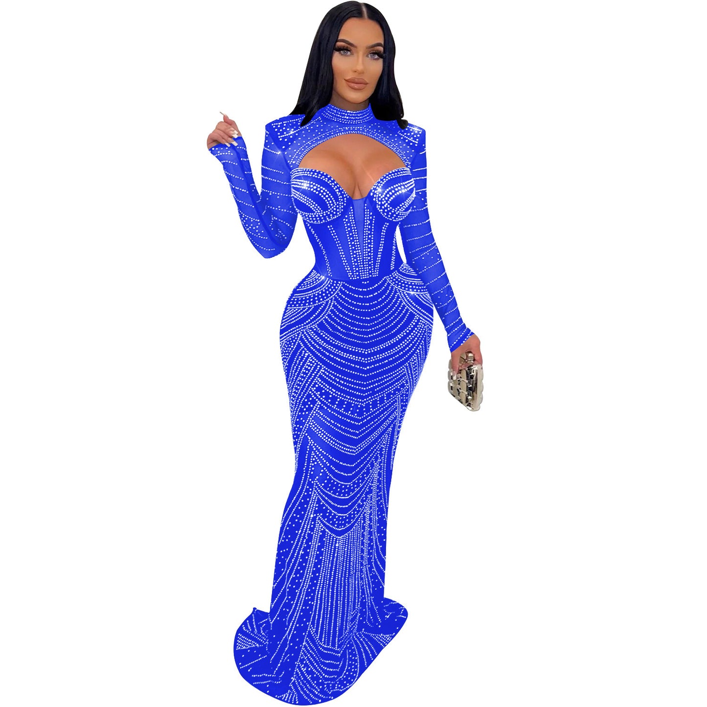 Mesh Long Sleeve Ladies' Dress