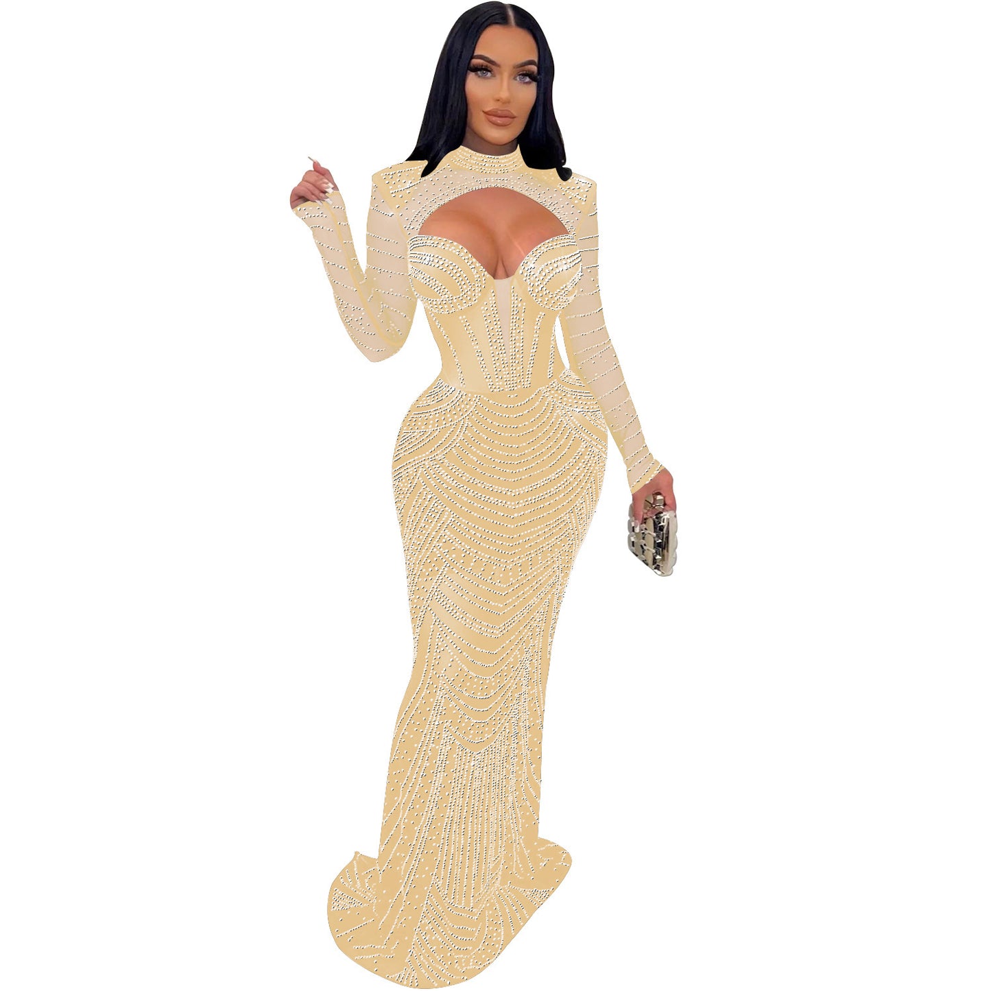 Mesh Long Sleeve Ladies' Dress