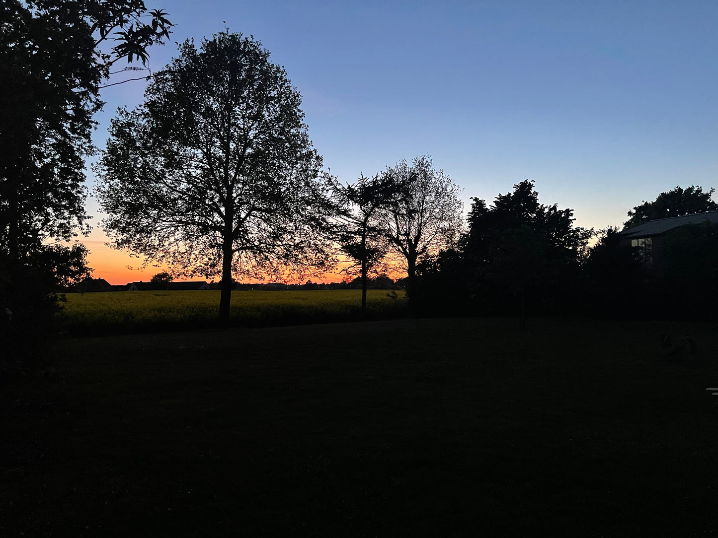 NITE SUN