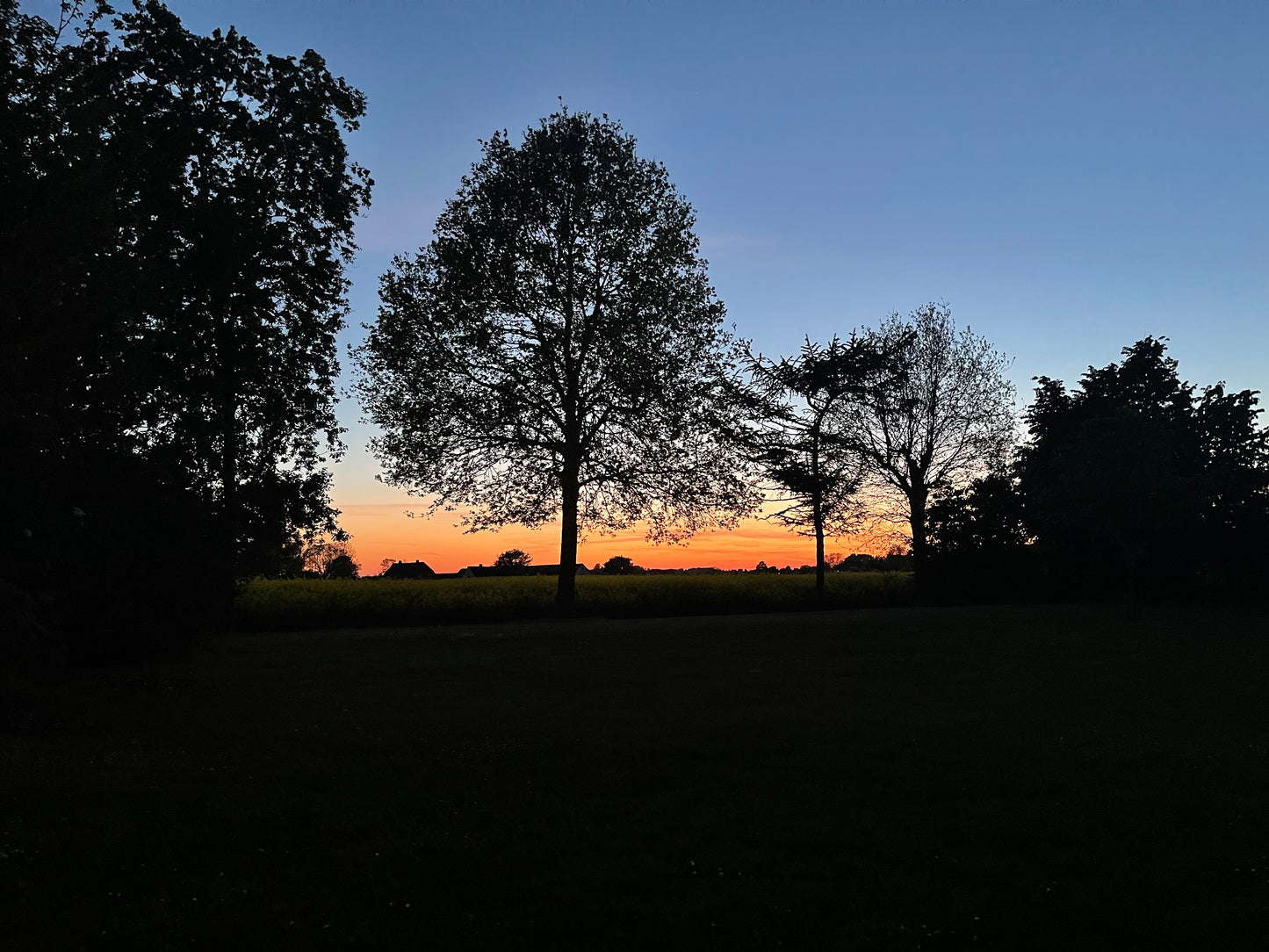 NITE SUN