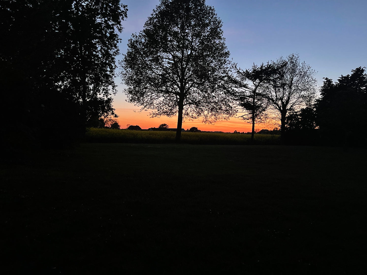 NITE SUN
