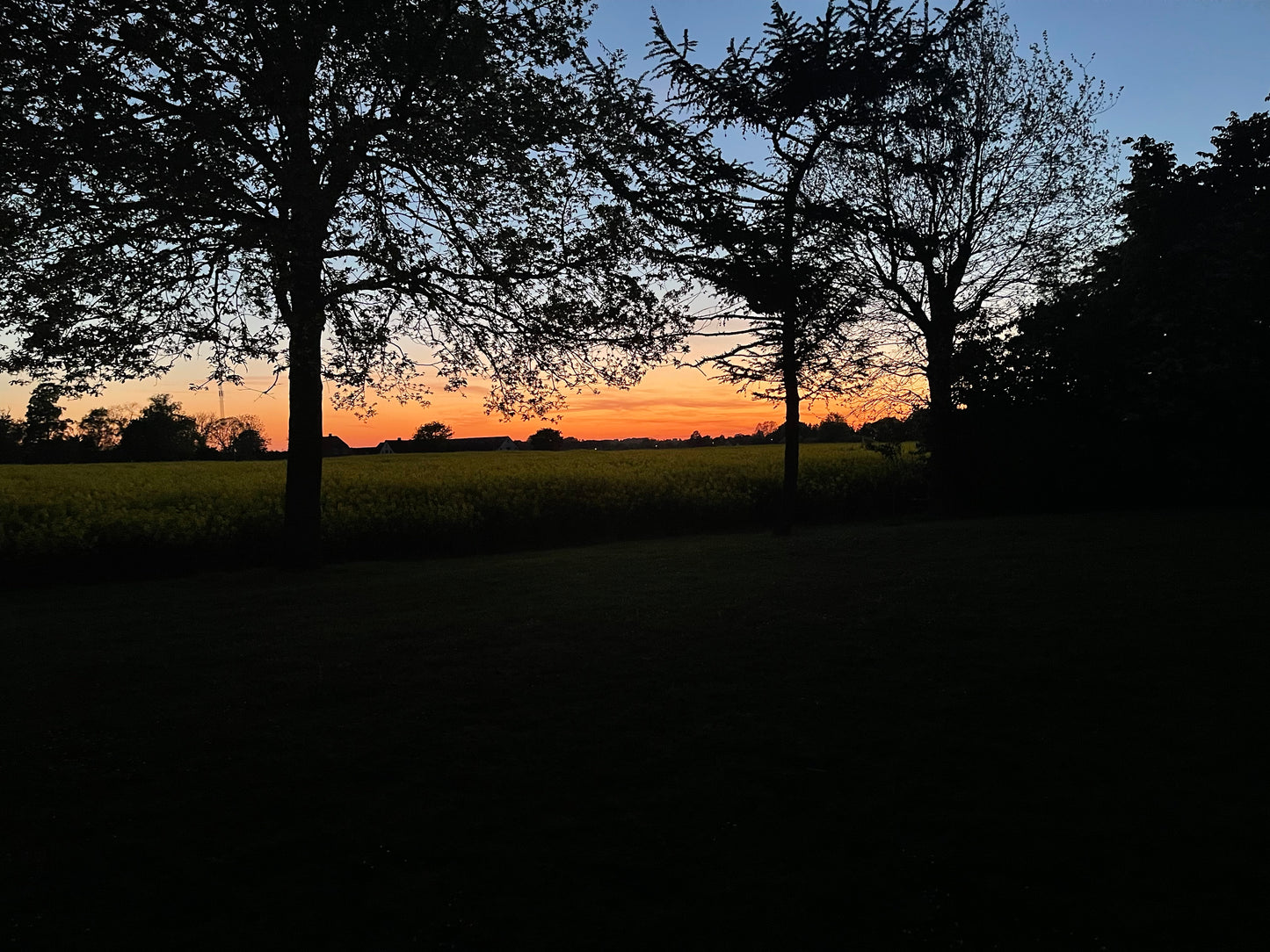 NITE SUN