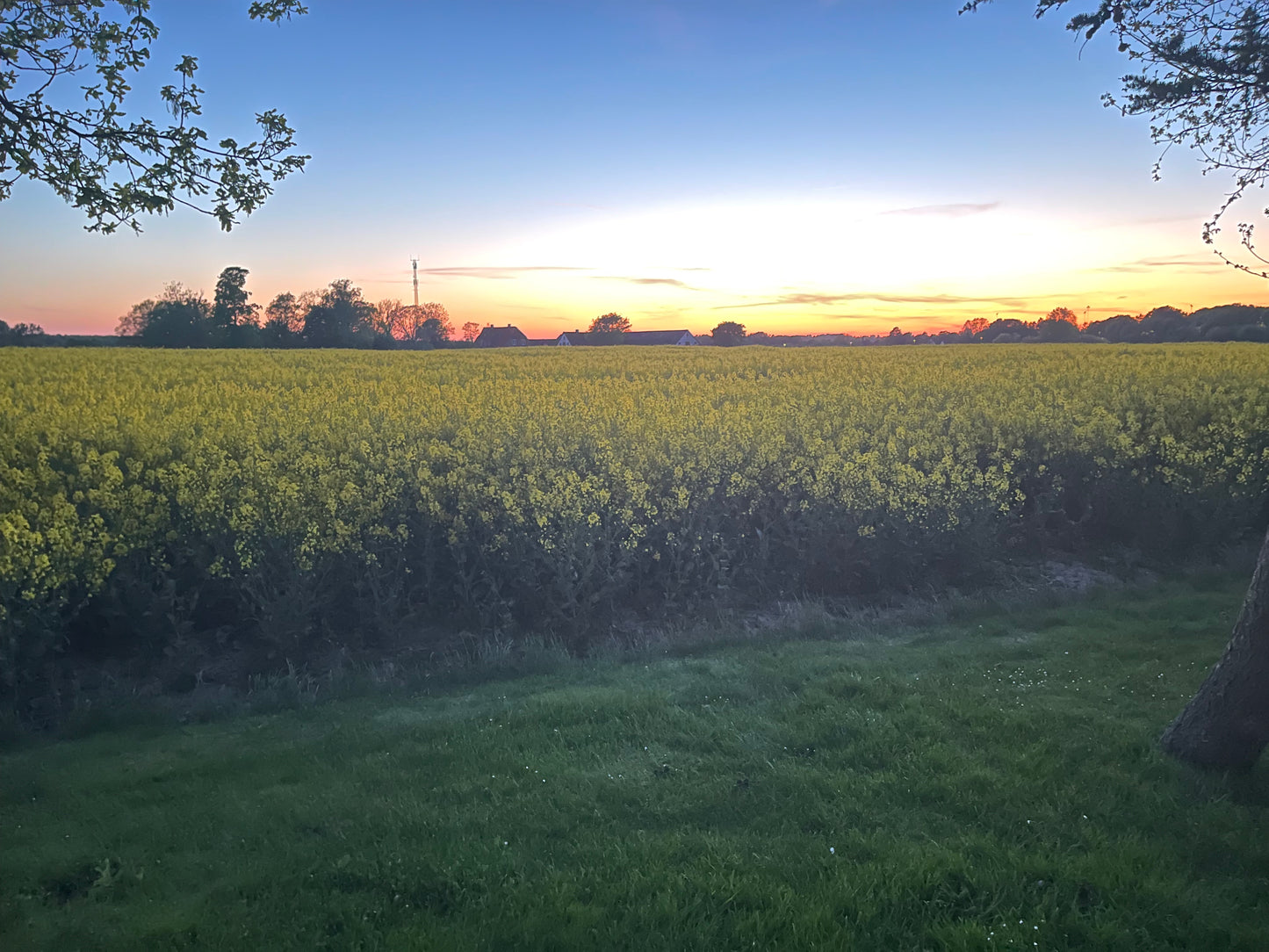 SUN DOWN