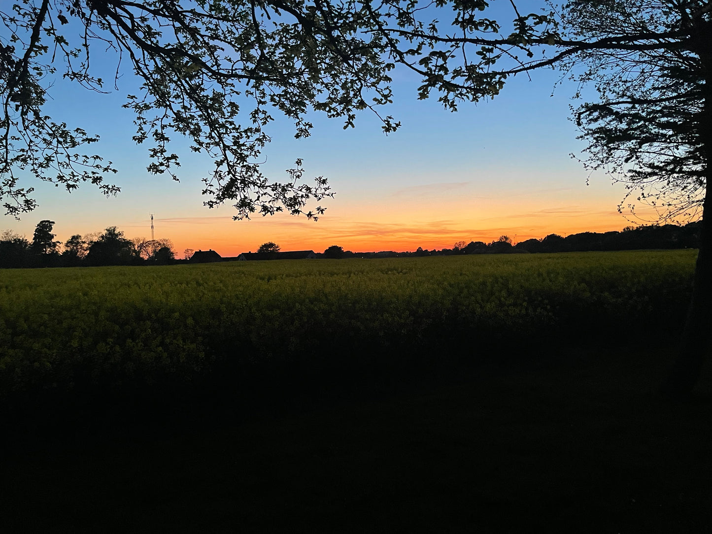 SUN DOWN