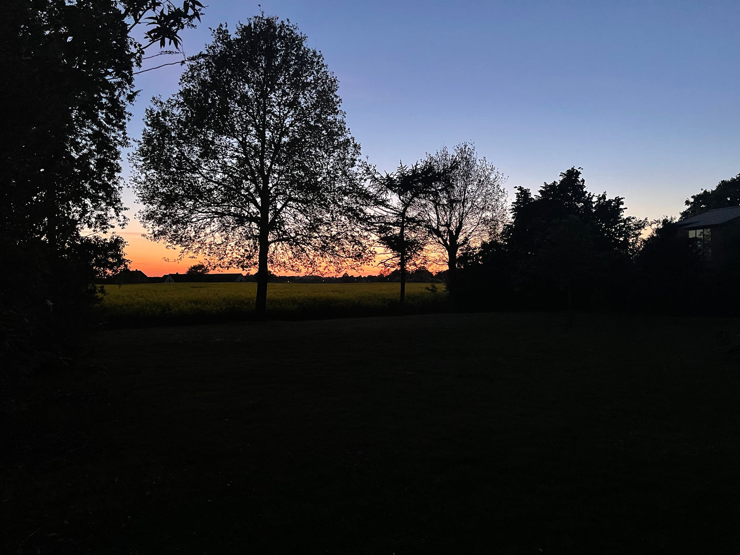 NITE SUN