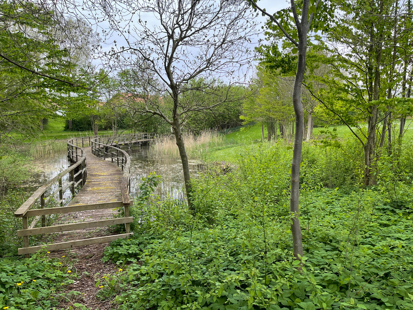 LAKE SIDE