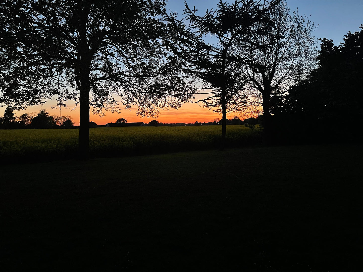 NITE SUN