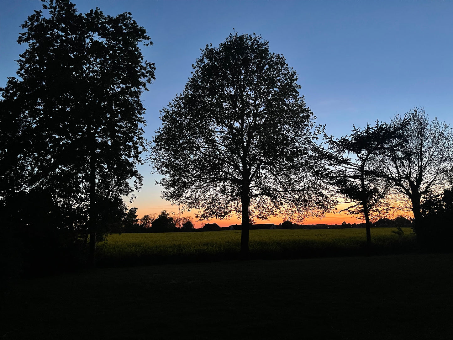 NITE SUN