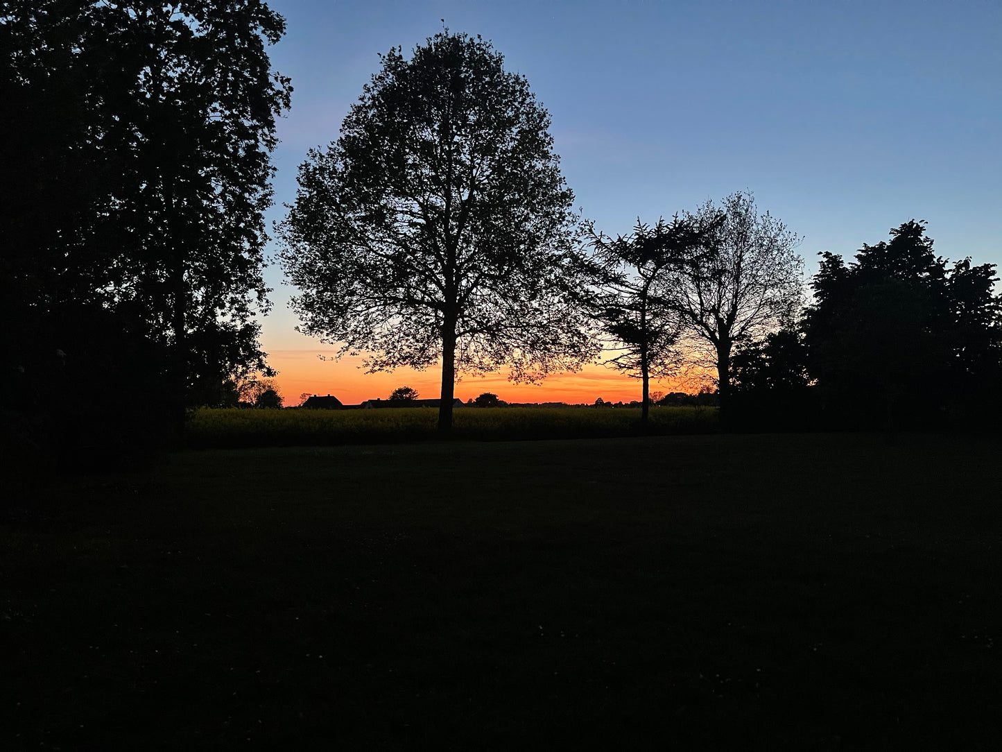 NITE SUN