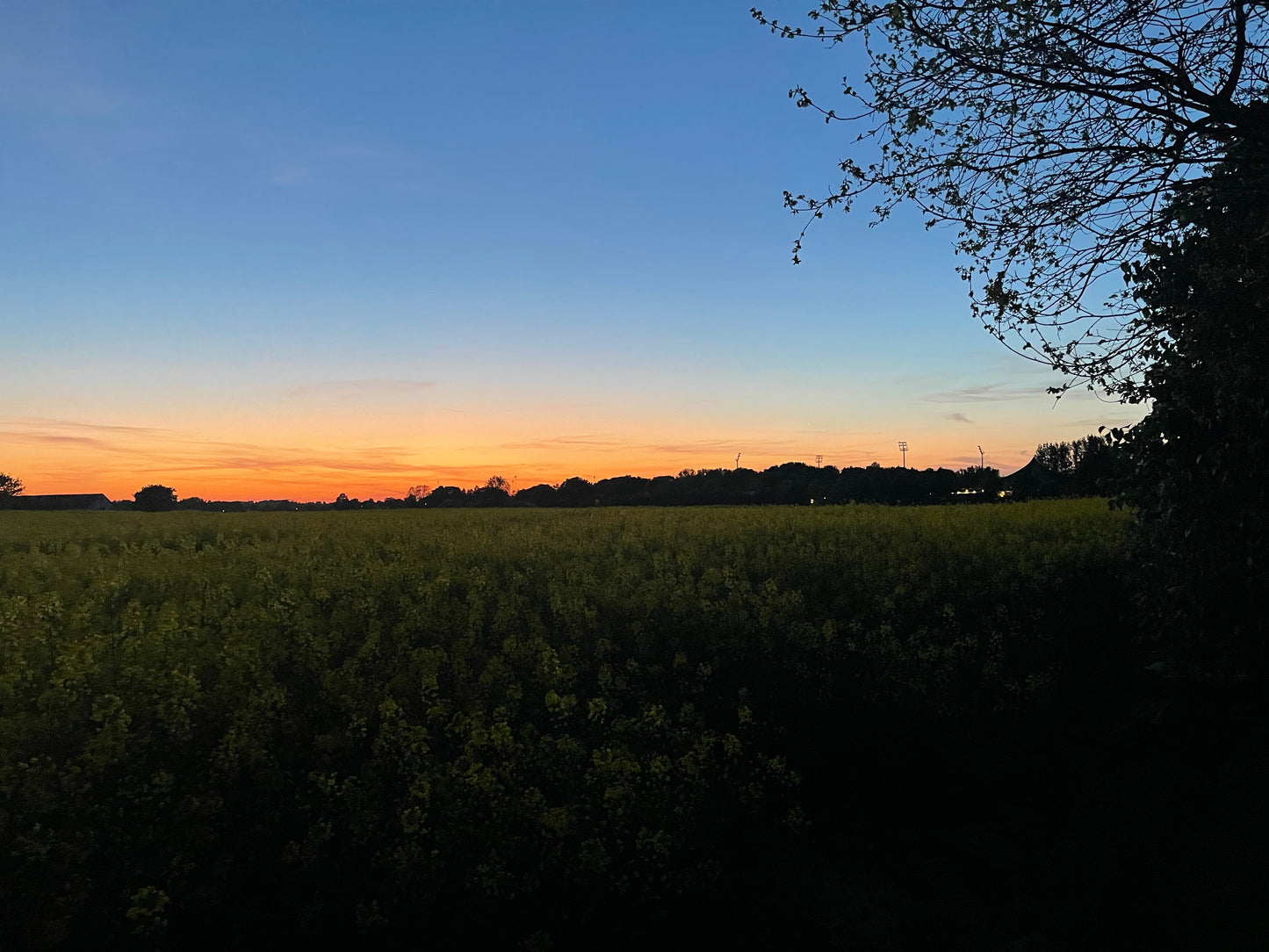 SUN DOWN