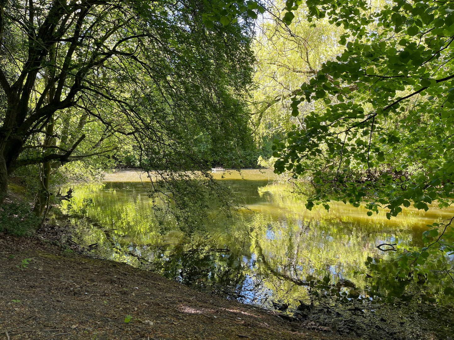 LAKE SIDE