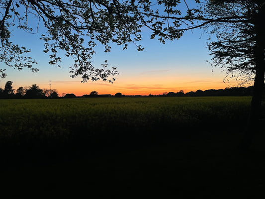 SUN DOWN
