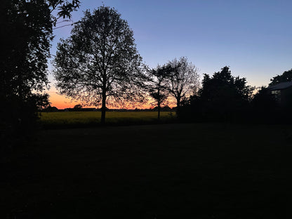 NITE SUN