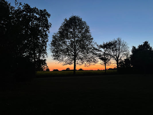 NITE SUN