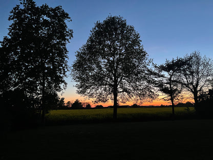 NITE SUN