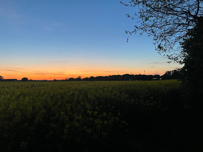 SUN DOWN