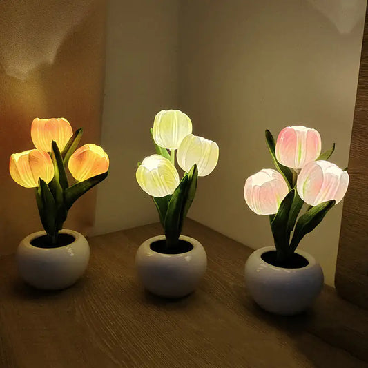 Three Bonsai Tulips Nightlights with vibrantly colored tulip-shaped LED lights in white pots, illuminating a dark space.
